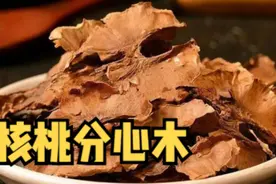 核桃分心木泡茶，对身体好处不少的#健康 #itibarmal视频封面