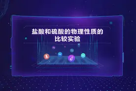 #初中化学实验 盐酸和硫酸的物理性质的比较实验