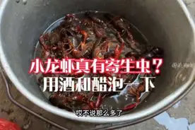 小龙虾真有寄生虫？小伙把龙虾泡进酒醋里，用事实来证明#小龙虾视频封面
