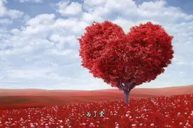 为了爱，做一个哑巴视频封面