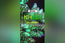 #海缸 #抖音618好物节 海缸的KH提升的时候一定要注意用量，你会计算用量，调配溶液吗？@抖音短视频