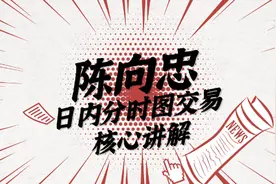 陈向忠期货日内分时图交易核心视频讲解视频封面