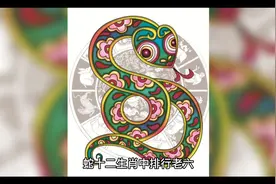 十二生肖之老六（巳）蛇视频封面