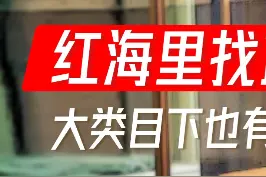 怎么在超级红海市场突出重围？大类目下总能找到蓝海市场，核心是要去发现#电商创业 #电商运营技巧 #创业 