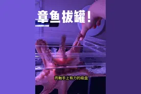 好朋友送了只帝王蟹！我家宠物必须雨露均沾！吃回大餐！