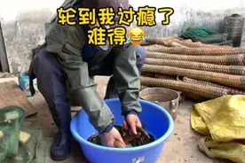 水田下鳝鱼，还得是编织笼。教你两招，实现鳝鱼自由😏。视频封面