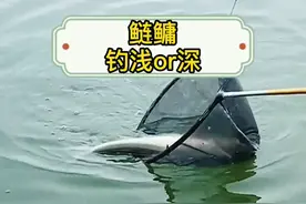 四种情况让你知道钓鲢鳙时该钓深还是浅。#浮钓鲢鳙 #户外钓鱼 #钓鱼教学 #钓鱼技巧 @DOU+小助手 视频封面
