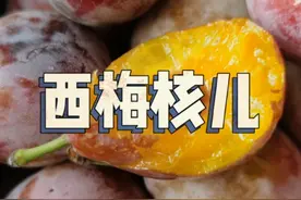 西梅的核儿应该是不能吃的！大家可以查查~今晚西梅专场！#水果 #美食 #西梅视频封面