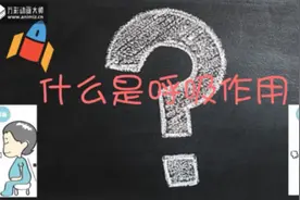 宝宝呼吸（六）什么是呼吸？视频封面