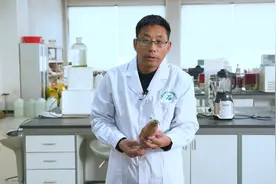 #科普 #农业小知识#实验室 红薯发芽还能吃吗？视频封面
