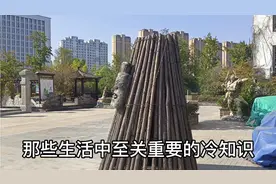 牙刷用多长时間更换更科学视频封面