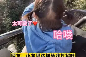 骗你生女儿系列，社牛小萌宝坐缆车，和每个人都打招呼，网友：小宝贝这样给我打招呼，我得高兴一整年。#人类幼崽 #猝不及防 #萌娃 #可爱到爆炸💥 #你家孩子也这样吗 @抖音短视频视频封面