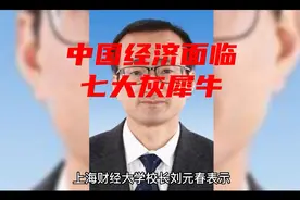 中国经济面临七大灰犀牛事件视频封面