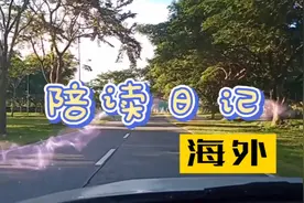 海外陪读（1）漂洋过海 漫漫求学路，跨国陪读 悠悠父母心视频封面