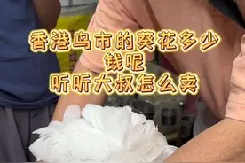 #热门 香港鸟市的葵花多少钱呢？听听大叔怎么卖？#鹦鹉 #大数据让我们相遇 #葵花鹦鹉 #抖in萌宠计划视频封面