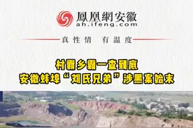 #凤观NEWS 村霸乡霸一查到底安徽蚌埠“刘氏兄弟”涉黑案始末#扫黑 视频封面