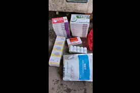 给大家分享下狗狗流鼻涕咳嗽用药，卖药的说什么副流感，犬瘟前期视频封面