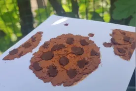 全网最甜的曲奇饼干🍪#暑假充电计划#简笔画@抖音青少年视频封面