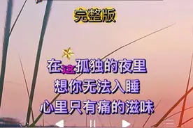 在孤独的夜里想你无法入睡 心里只有痛的滋味 眼泪淌了多少回视频封面