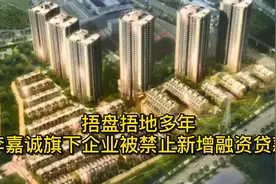 捂盘捂地多年，李嘉诚旗下企业被禁止新增融资贷款视频封面