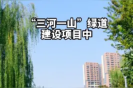 大动作！西安今年101个全域治水重点项目已全面开工 #西安视频封面