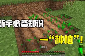 我的世界：新手必备知识—“种植”！