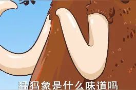 尝了尝五万年前的巨牛，有些人开始馋四千年前的猛犸象是什么味道了 #抖音美食创作人 #冬日超会暖 #美食趣胃计划视频封面