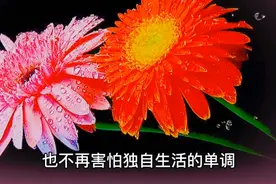 从现在开始，付出你的时间 拼尽全力奋斗 一定要变优秀视频封面