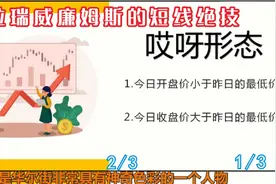 哎呀形态是华尔街顶级交易员一年100倍的选股法2/3 #交易 #交易员视频封面