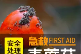请珍惜生命，远离毒蘑菇！#科普 #急救 #安全 #健康科普 #急救技能 #蘑菇 #毒蘑菇 #采蘑菇 #健康 视频封面