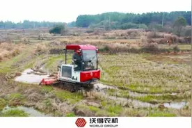 沃得猛龙履带式旋耕机水田作业实拍，水田猛将，一机多用