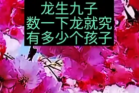 龙有几个儿子大家都来数一下究竟多少个