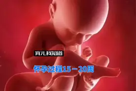 15-20周，你的宝宝能听到你说话、读书和唱歌的声音。视频封面
