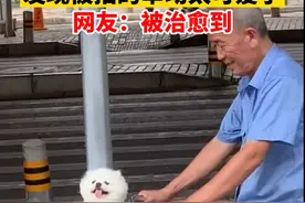 6月11日，广西南宁。大爷骑单车带狗出行，#大爷发现有人拍狗狗的举动太可爱了 ，网友：被治愈到视频封面