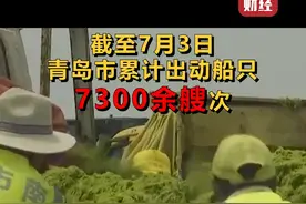 #山东青岛遭遇最大规模浒苔侵袭！已打捞24万吨！启动二级应急响应视频封面
