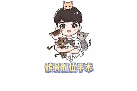 髌骨内脱位常见于贵宾 比熊等小型犬 有疑似症状的要注意哦~视频封面