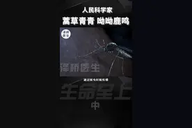 抗疟疾之奇草—青蒿#科学 #科普 #抖进科学 #名人大咖#蚊子 