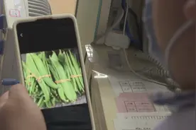 夹生刀豆下肚 阿姨患上尿毒症视频封面