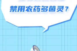 康师傅含日本禁用农药多菌灵？这条谣言传播了快10年啦！
#dou来辟谣吧 #康师傅 #康师傅方便面 视频封面