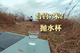 7米2的鱼竿抛水杯，能抛得进去吗？？#7米2抛水杯#台钓抛竿技巧视频封面