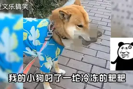 你喜欢积极向上的男人吗？#看一遍笑一遍 #R星出品 #骚操作视频封面