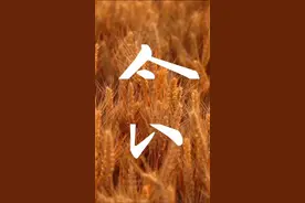 这样浪费粮食，不该！2月1日，新华社记者走访多地的高档酒店餐厅，发现食品浪费现象仍时有发生其中，婚宴、自助餐是浪费的“重灾区”。视频封面