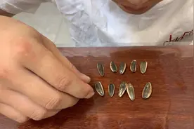 独特的声音！嗑瓜子！视频封面