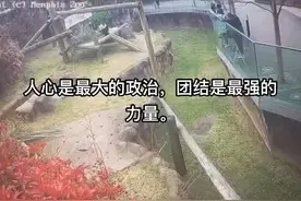 二十大提出：＂民有所呼，我有所应＂，希望能够体现！视频封面