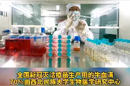 动物血清是病毒类细胞基质疫苗生产的关键原辅材料 #新冠疫苗  #西北民大团队