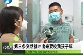 河南郑州：狂犬病不可治！但做好这几点，基本100%可预防！#狂犬病 #河南dou知道 视频封面