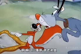 搞笑小狐狸戏耍大笨狗视频封面