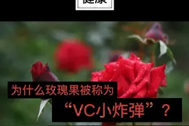 玫瑰果又被称为“VC小炸弹”，主要是因为它的VC含量极高视频封面