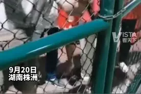 9月20日，湖南株洲。广场舞大妈为抢地盘，砸锁强闯足球场，导致小朋友比赛被迫中止。视频封面