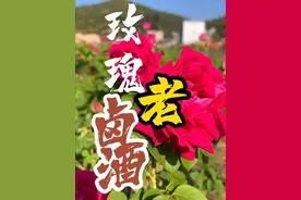 玫瑰老卤根本不用喝，开瓶即醉#玫瑰老卤 #有一种叫云南的生活 #寻味而来 #附近餐厅宴会 #优质农产品视频封面